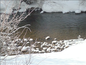 Breck2008 011.jpg